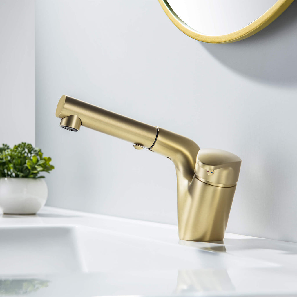 Rbrohant Pull-Out Bathroom Faucet - Single Handle - Dual Spray Extendable Hose