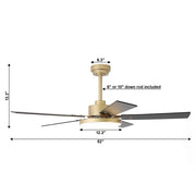 52" Vaczon Modern Ceiling Fan - Reversible Blades, LED Light & Remote