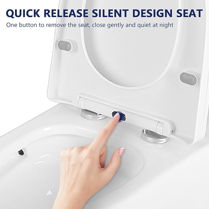 One-Piece Compact Elongated Toilet - Chair Height, Dual Flush 1000g MaP, Soft Close Seat, 12" Rough-In