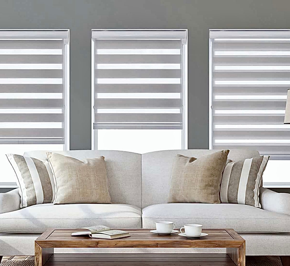 B&M Zebra Shades - Linear & Modern Design, Cordless / Smart Control, UV Protection, Perfect for Home & Office