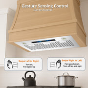 Awoco RH-IT08-V Ceiling Insert Mount Split Quiet Range Hood with Voice, Gesture, Touch, Remote Controls, 1000 CFM Kitchen Hood with 4-Speed Exhaust Fan, Stainless Steel Stove Hood with 8" Blower